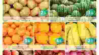 19959176_1393765467409752_539948651855825799_n
