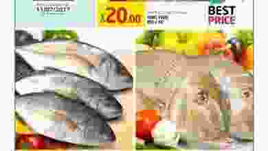 19961153_846028818887026_8661442082291871972_n