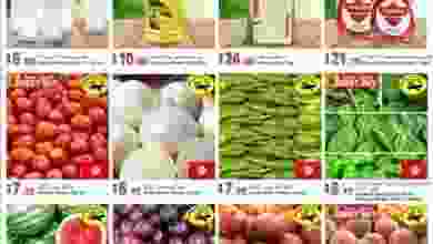 20031806_1408141095965704_1777781709384991870_n