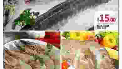 20032082_850151338474774_8411070999265844560_n