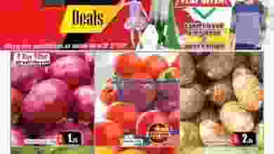 20229017_1870051263256168_7475511664027882022_n