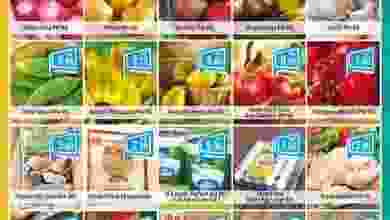 20245499_1739366879411639_6931132494498598228_n