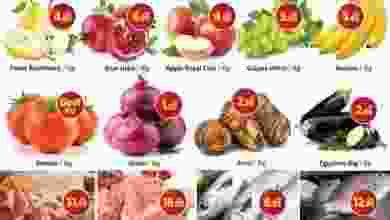 972168_1551480481593975_7034655077161534069_n