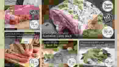 md2407172
