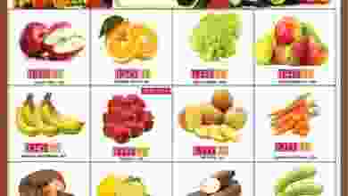 20622038_443807219353265_1176872827859504727_n