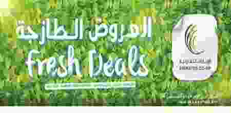 20637937_1621257507910437_8964403889657974615_n