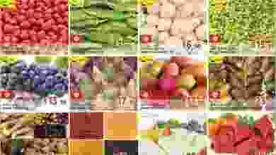 20769967_1435183406594806_8048684248018189725_n
