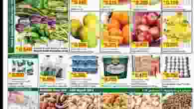 20841941_1272221766222151_6543446729993553618_n