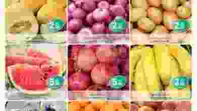 20883098_1542460579151212_6029988142730828978_n