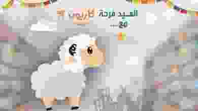 20953316_1471033206318790_2980495158786406968_n