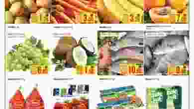 21078589_1463405793745294_3405020638354868924_n
