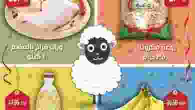 21083194_1595099670552126_4546547853204667560_o