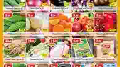 21369183_1793366060678387_3473876053587617581_n
