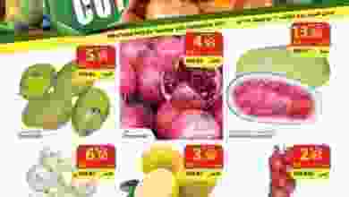 21617474_788226488005101_2971835632000794025_n