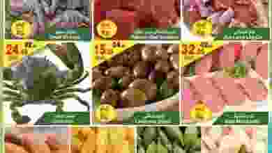 21617506_1545326115510258_758711466385799532_n