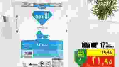 21730893_1490604964361614_8079760141516749460_n