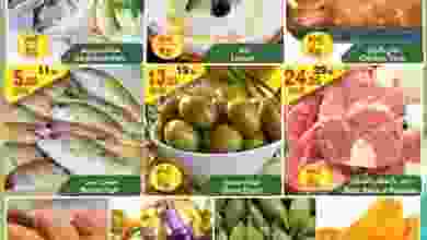 21751769_1551964334846436_8764495994731551730_n