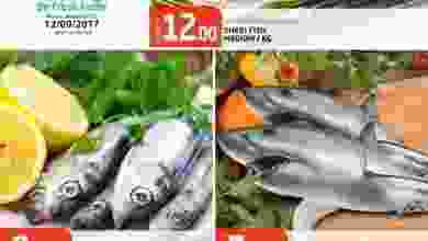 21751855_1954748088106446_5083923719061238670_n