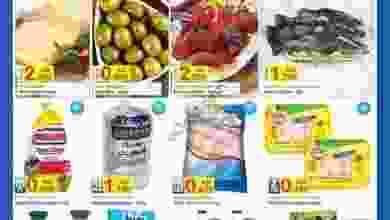 22089695_1386852321429894_4710842930495993957_n