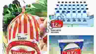 22279575_1546023625441458_4752178144187153600_n