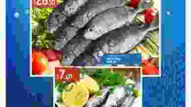 22308622_1547025865341234_7733421015927309145_n
