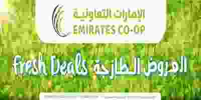 67739089_2885751204833556_6897155038523686912_o