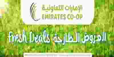 68591102_2924090804332929_5832887925263564800_n