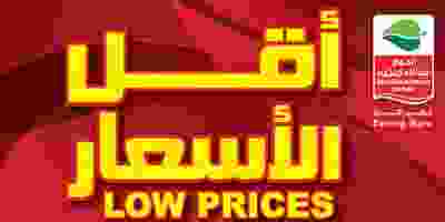 72486922_2748225565188852_8302344595472121856_n