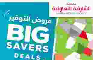 SCSBig-1