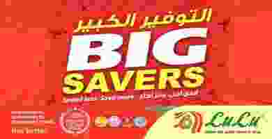 lulusaver-1 - Copy