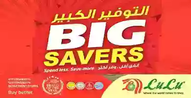 lulusaver-1 - Copy