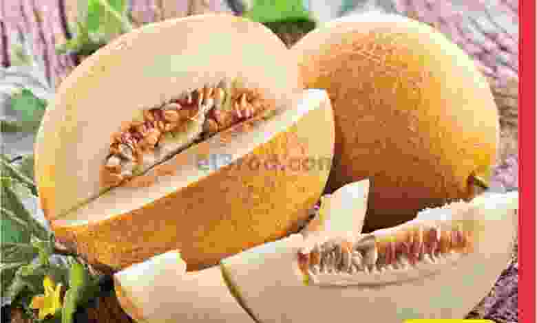 عروض سبار قطر|الأحد|26-7-2020 el3rod.com00001-1097