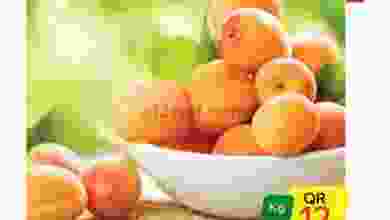 el3rod.com00001-1129