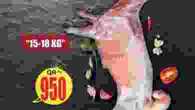 el3rod.com00001-1277