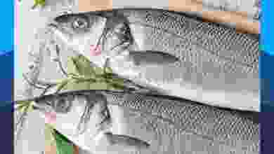 el3rod.com00001-1284