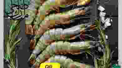 el3rod.com00002-925