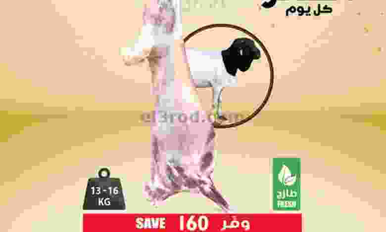 el3rod.com00005-554