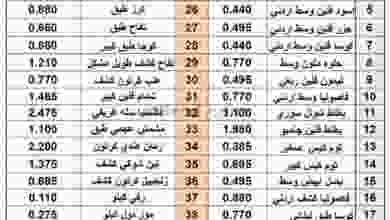 عروض جمعية القيروان التعاونية|الثلاثاء 4-8-2020 el3rod.com00001-106