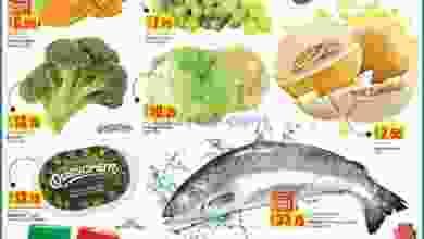 el3rod.com00001-182