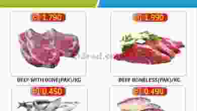 el3rod.com00001-238