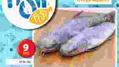 el3rod.com00001-311