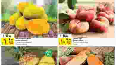 el3rod.com00001-316