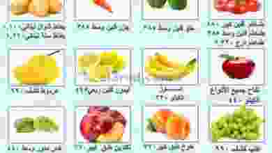 el3rod.com00001-339