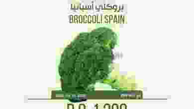 el3rod.com00001-416