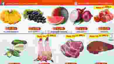 el3rod.com00001-433