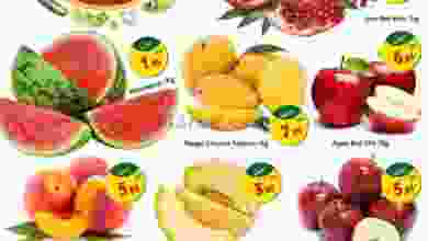 el3rod.com00001-576