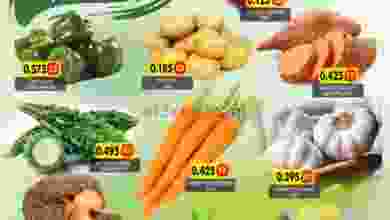 el3rod.com00001-577