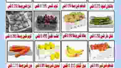 el3rod.com00001-584