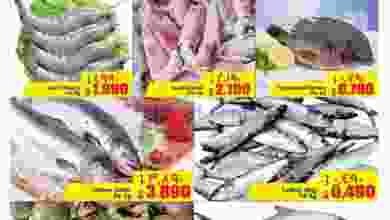 el3rod.com00001-601