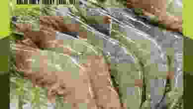 el3rod.com00001-602